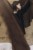 20260127-HY6A3677.jpg