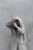 HY6A7692-2.jpg