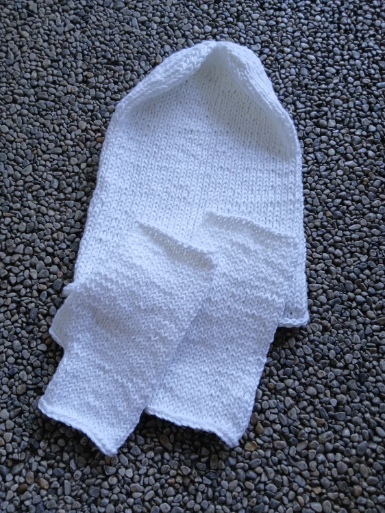 20261016_162147.jpg